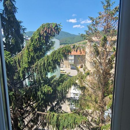 Apartament Coco Codlea Zewnętrze zdjęcie